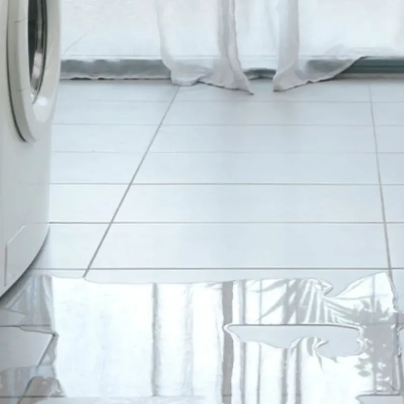 Appliance Leak Cleanup in Twin Lakes, CA
