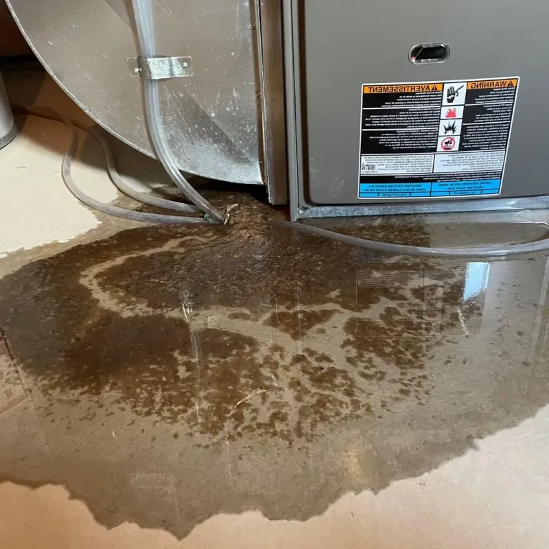 Pipe Burst and Leak Restoration in Twin Lakes, CA